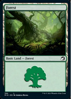 Forest