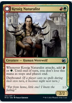 Kessig Naturalist // Lord of the Ulvenwald