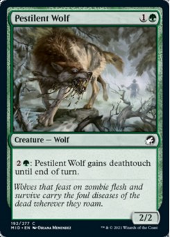 Pestilent Wolf