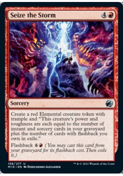 Seize the Storm