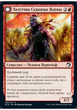 Лазутчик Седмицы Жатвы