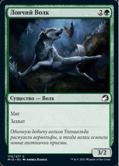 Ловчий Волк