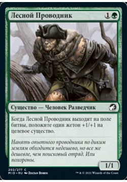 Лесной Проводник