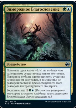 Зимородное Благословение