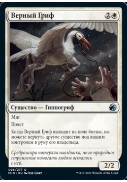 Верный Гриф