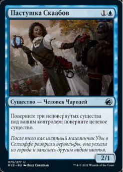 Пастушка Скаабов