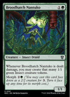 Broodhatch Nantuko