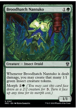 Broodhatch Nantuko