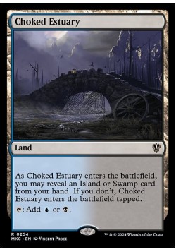 Choked Estuary