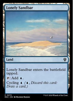 Lonely Sandbar