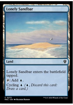 Lonely Sandbar