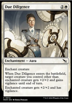 Due Diligence