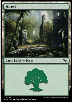 Forest