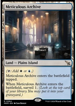 Meticulous Archive