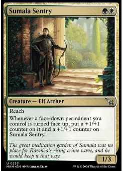 Sumala Sentry