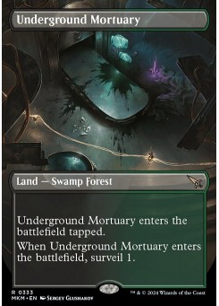 Underground Mortuary