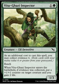 Vitu-Ghazi Inspector