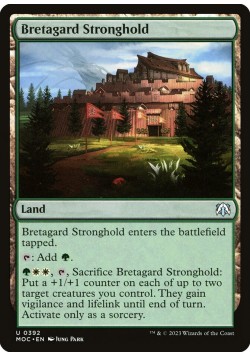 Bretagard Stronghold