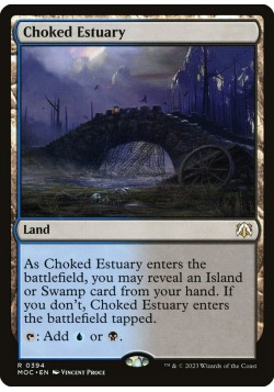 Choked Estuary