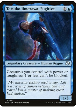 Tetsuko Umezawa, Fugitive