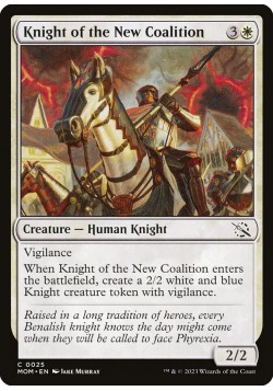 Knight of the New Coalition