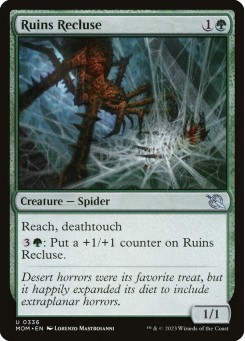 Ruins Recluse