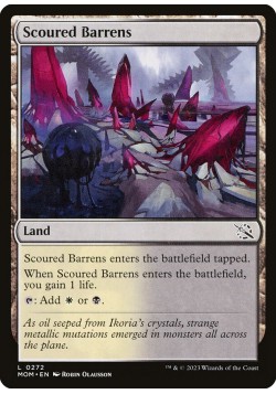 Scoured Barrens