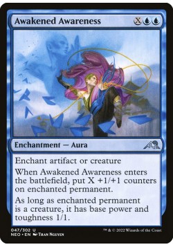 Awakened Awareness