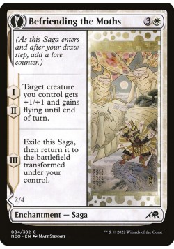 Befriending the Moths // Imperial Moth