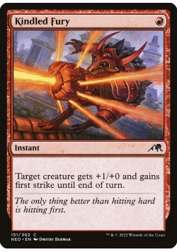 Kindled Fury