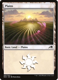 Plains