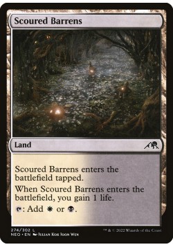 Scoured Barrens