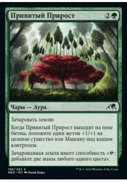 Привитый Прирост