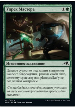 Упрек Мастера