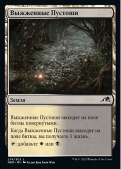 Выжженные Пустоши