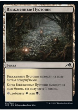Выжженные Пустоши
