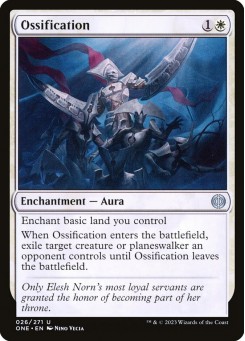 Ossification