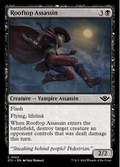 Rooftop Assassin