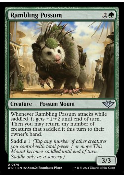 Rambling Possum