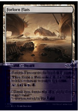 Forlorn Flats