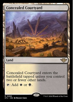 Concealed Courtyard