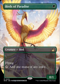 Birds of Paradise