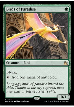 Birds of Paradise