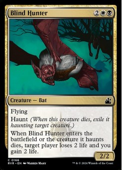 Blind Hunter