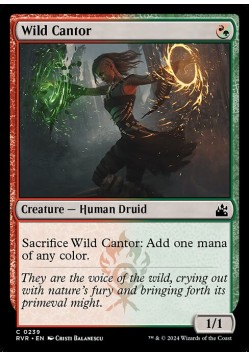 Wild Cantor