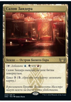 Салон Зандера