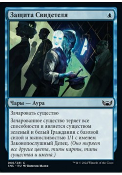 Защита Свидетеля