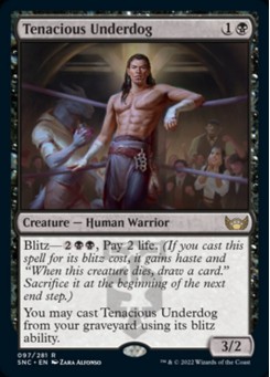 Tenacious Underdog