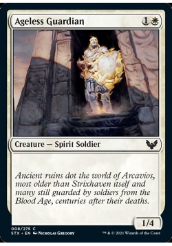 Ageless Guardian