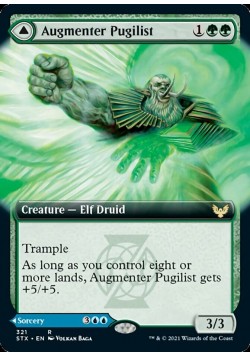 Augmenter Pugilist // Echoing Equation